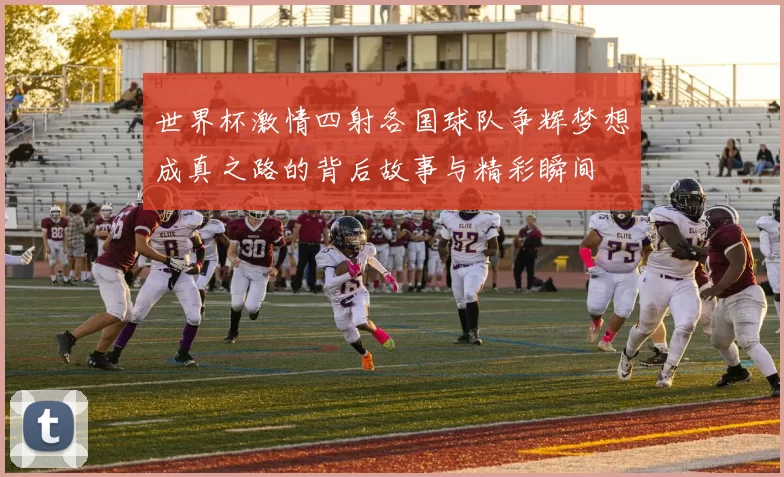 世界杯激情四射各国球队争辉梦想成真之路的背后故事与精彩瞬间