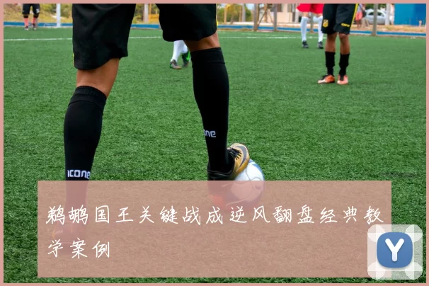 鹈鹕国王关键战成逆风翻盘经典教学案例