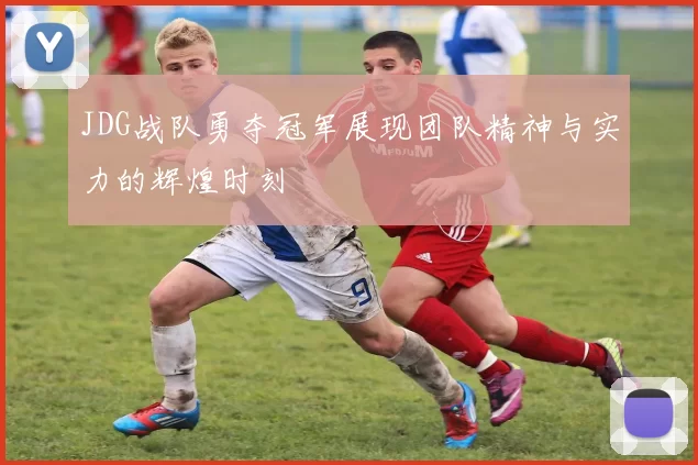 JDG战队勇夺冠军展现团队精神与实力的辉煌时刻