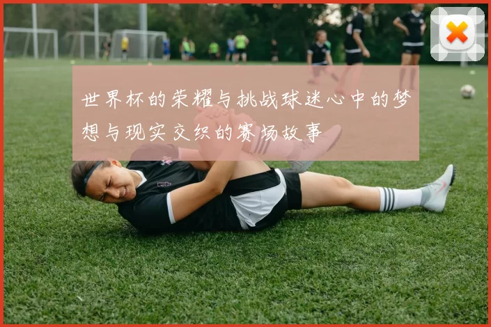 世界杯的荣耀与挑战球迷心中的梦想与现实交织的赛场故事