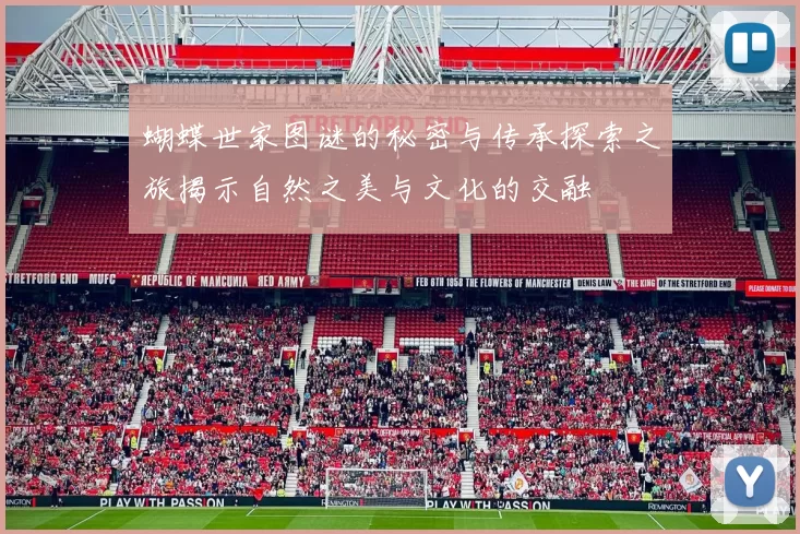 蝴蝶世家图谜的秘密与传承探索之旅揭示自然之美与文化的交融