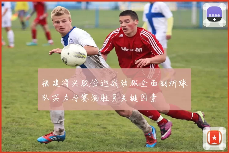 福建浔兴股份迎战劲旅全面剖析球队实力与赛场胜负关键因素