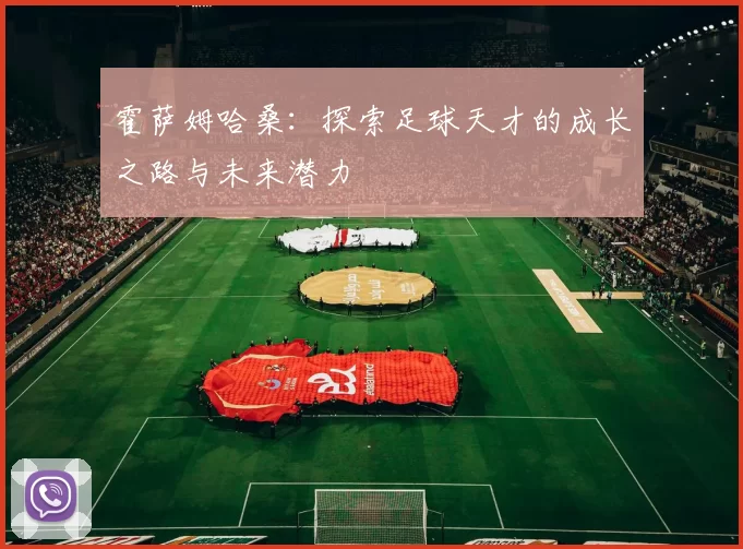 霍萨姆哈桑：探索足球天才的成长之路与未来潜力